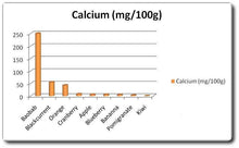 Baobab Powder / Baobab Serbuk – Bioshifax