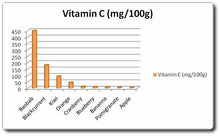 Baobab Powder / Baobab Serbuk – Bioshifax