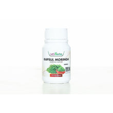 Multivitamin Alami Kapsul Moringa / Moringa Capsule - MS Herbs - Bisohifax