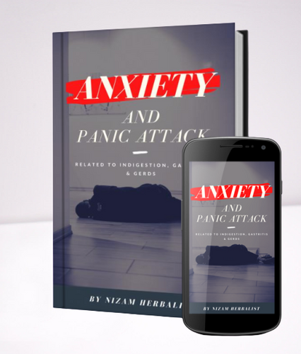 PDF E-Book Anxiety & Panic Attack Related to Indigestion, Gastritis & GERDS